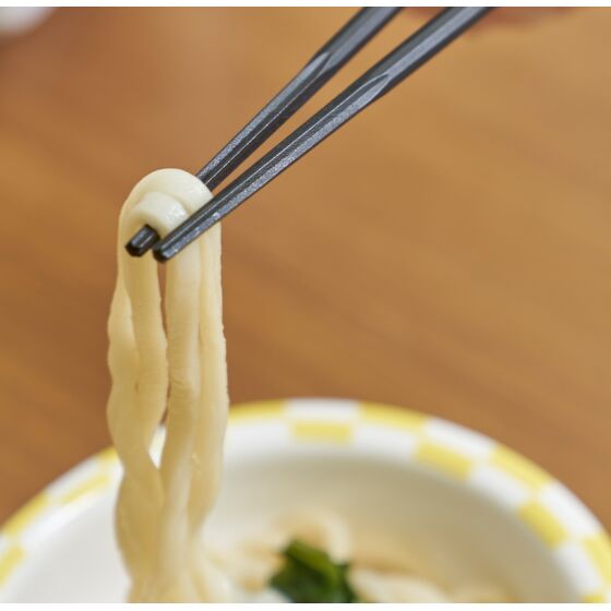 ウィルアシスト 楽々箸クリップタイプ樹脂製 プラスチック 持ちやすい