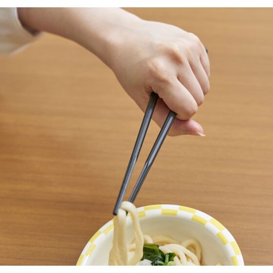 ウィルアシスト 楽々箸クリップタイプ樹脂製 プラスチック 持ちやすい