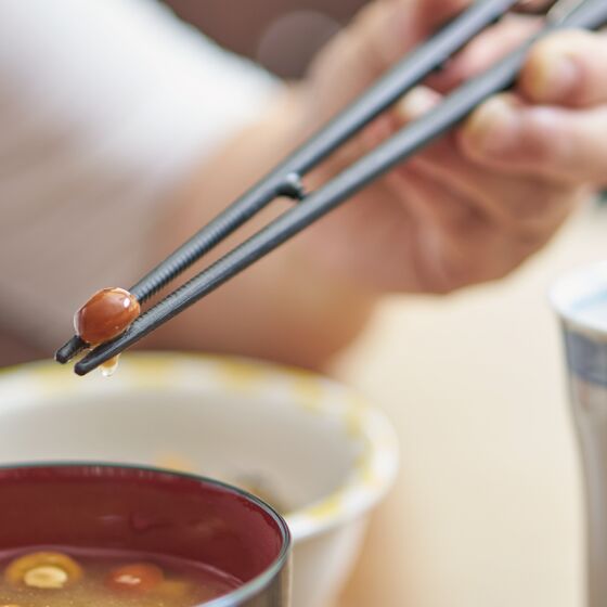 ウィルアシスト 楽々箸クリップタイプ樹脂製 プラスチック 持ちやすい