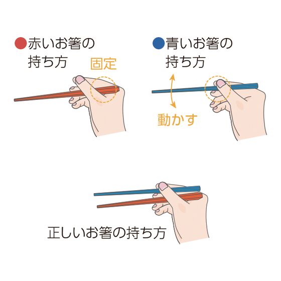 ウィルアシスト はじめてのお箸「八角くんとなじみちゃん」 矯正箸 子供用