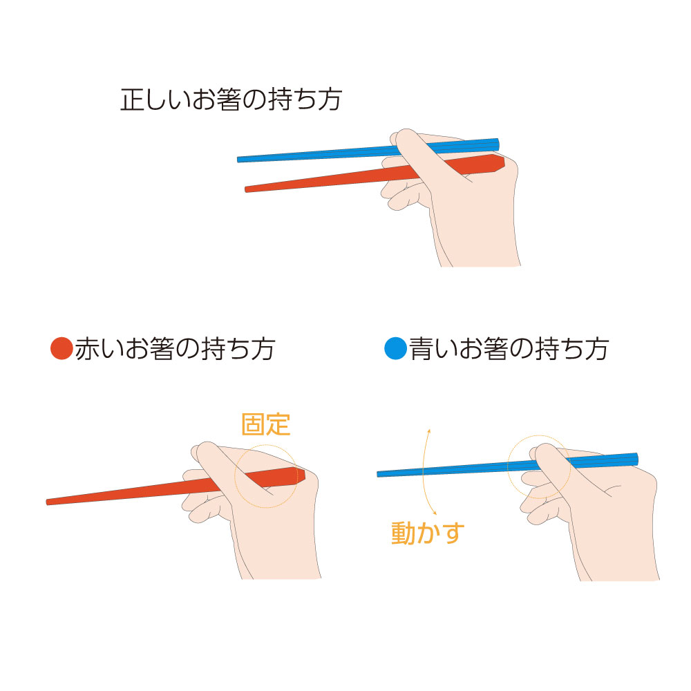 はじめてのお箸「八角くんとなじみちゃん」 - 画像 (4)